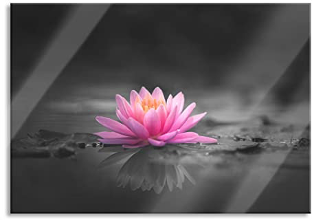 Pixxprint Quadro in vetro | Murale in vero vetro | Fiore di loto luminoso su pozzanghera grigia B&W Dettaglio | 100 x 70 cm | con sospensione e distanziatore