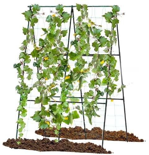 COSTWAY Gurke Rankhilfe Set, A-förmig, einstellbare Breite, Rankgitter mit Netz, Pflanzenhalter Metall, Pflanzenstütze für Kletterpflanzen Blumen Gemüse, Pflanzenspalier Schwarz (88 x 30-60 x 124 cm)