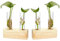 2 Piezas Jarrón Hidropónico de Madera, Jarrón de Tubo Vídrio, Tubo de Ensayo Hidropónico, Florero con Brotes En Soporte De Madera para Plantas Hidropónicas, Esquejes, Oficina (con 2 Tubos de Ensayo)