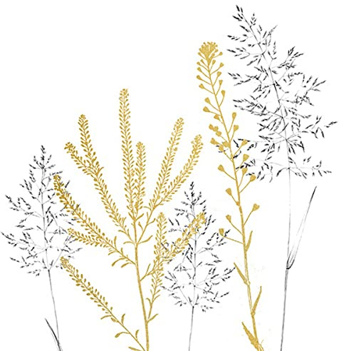 20 Servietten Dezente Gräser | Wiese | Natur | Sommer | Tischdeko | Decoupage | Serviettentechnik 33x33cm