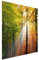 Bilderwelten Glasbild - Morning Light - Quadrat 1:1, Größe: 30cm x 30cm