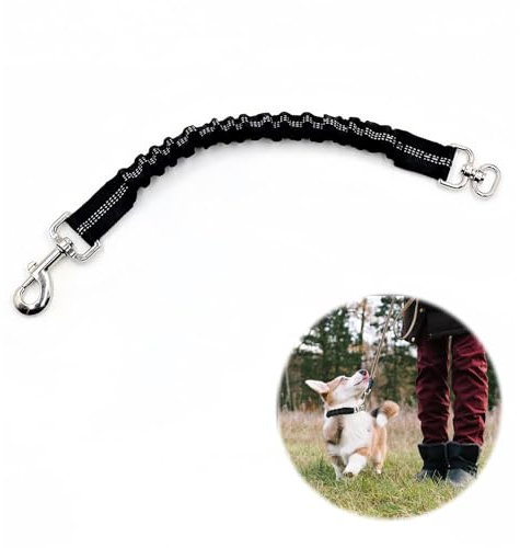 Ruckdämpfer 2.5 * 37cm für Hunde, Nylon Leine Mit Stoßdämpfung für Fahrradfahren Mit Mittelgroßen Hunden, Hochwertige Hundekurzleine