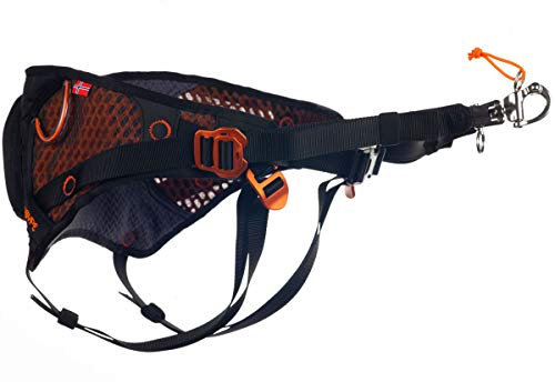NON-stop dogwear LØYPE Belt | 1251 | Mehr als nur EIN Ski-Gürtel!, Größe:M