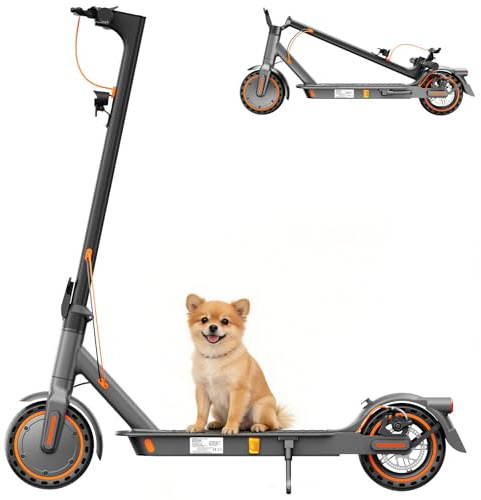 E Scooter S3ABE mit Straßenzulassung, 350W Motor, 20 km/h Höchstgeschwindigkeit, 35 km Reichweite, Faltbarer E-Roller für Erwachsene