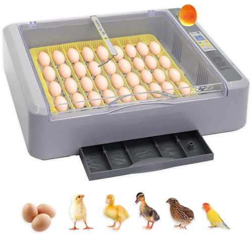 Automatic Egg Incubator, Automatic Egg Turner with Thermometer Control & Humidity Control, Egg Candler, 360°View,Incubator for Hatching Chicks-36 Egg Capacity