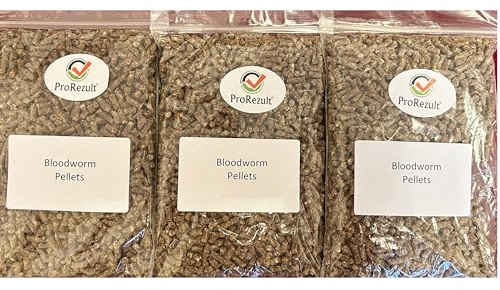 Dried Bloodworm Pellets TRIPLE PACK OFFER. Pond and Aquarium Fish Food Treats Tropical Coldwater Large 100g Packs from Prorezult (3 PACKS FOR PRICE OF 2)