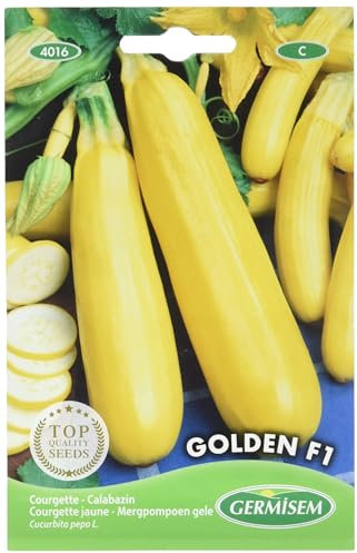 Germisem graines Courgette jaune GOLDEN F1