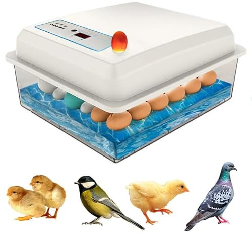 Joulli 20 Eier Brutautomat Vollautomatisch, Brutmaschine Vollautomatisch, Inkubator HüHner Mit Automatischem Rotationssystem Und Temperaturkontrolle Feuchtigkeitsgrad, FüR HüHner Enten GäNse Taube
