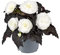 PREMIER SEEDS DIRECT - Begonia Tuberous - Non Stop Mocca F1- White - 15 PELLETS