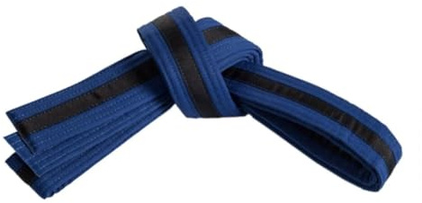 Mastery Leadership (blue belt/Black stripe, 3)