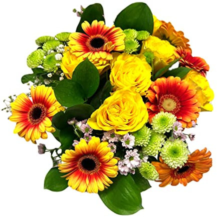 Pet-Jos Blumenstrauß Frisch, bunter Blumenstrauß, Inklusive gratis Grußkarte, Versenden geburtstag, Cut flowers, Gift for Women, Fresh Flower, Valentine's Day, Birthday, Yellow Gerbera