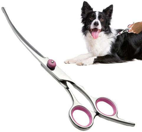Ciseaux de Toilettage pour Chiens – Ciseaux Courbés en Acier Inoxydable | Outils Professionnels pour Couper les Poils de Chiens Chats et Animaux Domestiques | Ciseauxx Sécurisés à Pointe Ronde