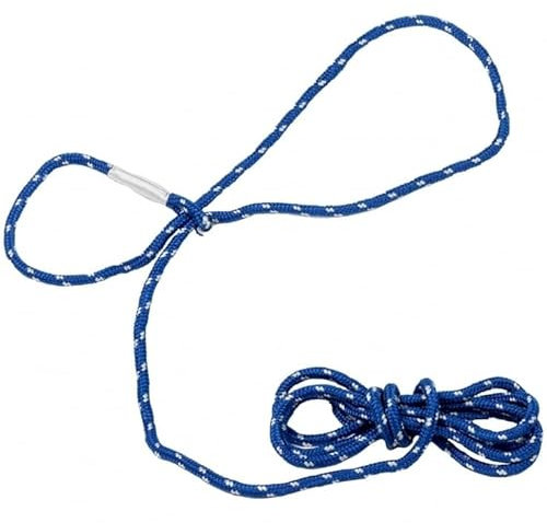 RL24 TransHorse - Kontaktseil Allround | Führstrick mit Einer Schlaufe | elastischer Pferde-Strick | Bodenarbeitsseil in Water Blue | Anbindestrick | Länge 4 m | 10 Stück (10er Set)