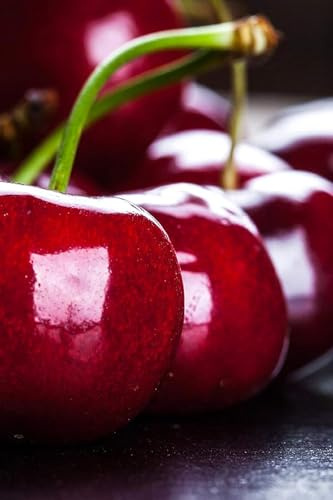 Albero da Frutto Ciliegio Stella, Pianta in Vaso da 20 cm, Altezza 150-170 cm, Età 1 Anni, Radice Nuda