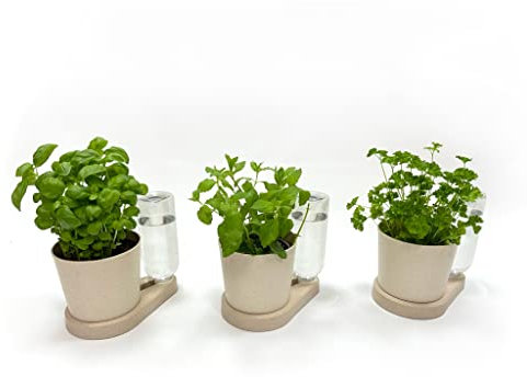 greevi kräuterheld 3er Set | Kräutertöpfe mit Selbstbewässerungssystem | Made in Germany | Kunststoff (Bio-Kunststoff, weiß)
