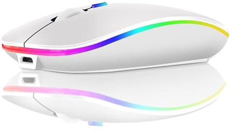 Ratón inalámbrico recargable RGB ultrafino 1600 DPI con doble modo Bluetooth 5.0 + 2.4 GHz, clic silencioso, 3 niveles de DPI (800/1200/1600), diseño ambidiestro, luz LED, tamaño compacto (Blanco).