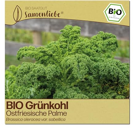 Samenliebe BIO Grünkohl Samen | traditionelle Ostfriesische Palme - winterhart & hochwachsend - samenfestes BIO Saatgut
