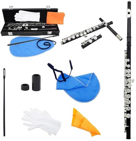 tvärflöjt instrument Professionell övning för flöjtinstrument för nybörjare