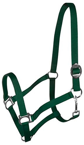 York Nylonhalfter Halfter Genickstück Verstellbar durch Schiebeschnalle Harmony Pferdehalfter (Cob, dunkelgrün)