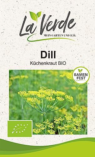 Dill BIO Kräutersamen
