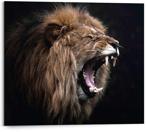 REINDERS Wandbild, Löwe, Wohnzimmer, Bilder, Wanddeko, Room Decor, MDF, Schwarz, 40 x 50