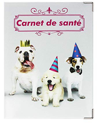 Color Pop® Etui Petit carnet de santé Animaux - Fabrication française - Carnet 18,5 x 13,5 cm - en PVC (Fiesta)