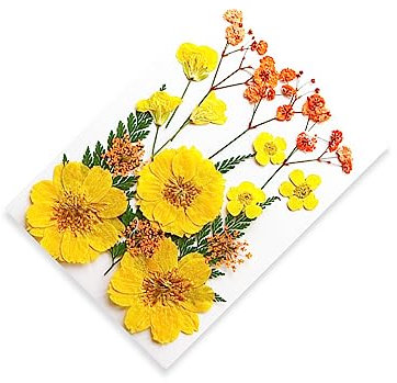 EIOLWJIEO Getrocknete gepresste Blumen, handgefertigte gemischte künstliche Blumen, leichte Trockenpflanze, Kunstharz, Bastelzubehör, Typ 4