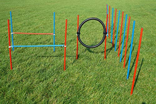 Wuzzmann Agility-ÜBUNGS-ANFÄNGER-Set MIT SPRUNGRING/Slalom/HÜRDEN IN ROT/BLAU