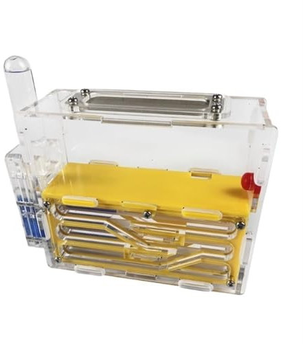 FENGJISUN Ameisenfarm Ameisen Farm Ameisenburg Aus Acryl, Große Kapazität, Ameisenwerkstatt, Ameisennest Für Haustiere, Ameisenfarm Ameisenfarm Erwachsener(Yellow)