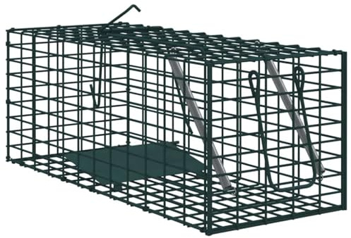 Mangloder grön djurfälla av stål 31 x 13 x 12 cm, väderbeständig, rostbeständig för inomhus- och utomhusbruk, hållbar skadedjursfälla med stabil design, lämplig för revier, jakt, sittning och