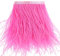 Straußenfedern Borte Fransen mit Satinband - zum Nähen von Kleidern Basteln Kostüme Dekoration, 186cm (Rosa)