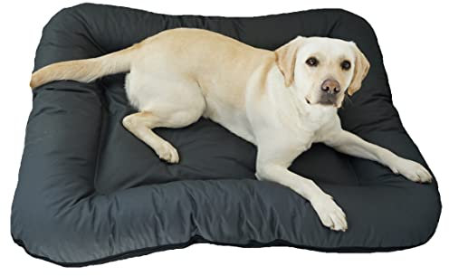 4L Textil KLEO Hundebett mittelgrosse Hunde waschbar Hundekissen mittelgrosse Hunde Hundematte Hundematratze Hundekissen XXL (M-90x70 cm, Graphit(Mit Reißverschluss))