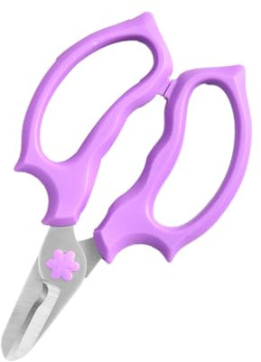 BESPORTBLE Ciseaux à Fleurs Ciseaux De Jardin Ciseaux De Taille Ciseaux De Coupe Cisailles à Ébrancher Outil De Jardin Tondeuses à Cliquet Main Acier Inoxydable Cisailles à Branches Bifurquer