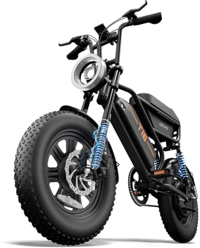 URLIFE Electric Bike, 16 E Bike 100km Range, 48V 13Ah Removable Battery, 250W Brushless Motor, Ebike with Dual Suspension, Color LCD Display Electric Bicycle, Electric Bike for adults and Teenagers