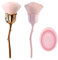 2 Pennelli Per Il Trucco Dei Fiori, 1 Bacinella, Pennello Per La Polvere Per Nail Art, Pennello Per Il Trucco Per Fondotinta, Accessori Per Pennelli Per Il Trucco Per Nail Art