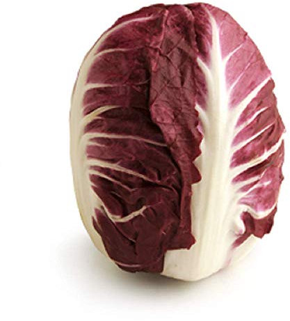 Indivia Lattuga Radicchio Rossa Di Verona cicoria 50 semi Italiano Heirloom