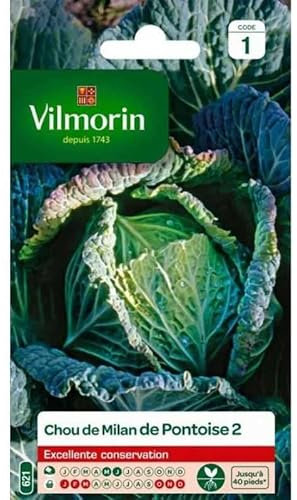 Vilmorin - Sachet de graines Chou de Milan de Pontoise 2