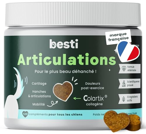 besti Articulations Chien - 120 Compléments Anti-Arthrose - 100% Mobilité