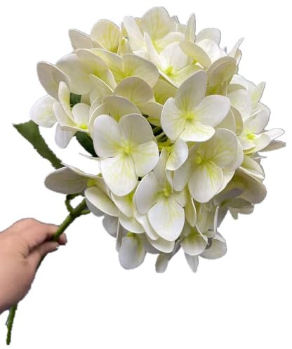 forestmistry 5pcs 3D Print Lifelike Hortensia Branch Realistic Artificial Big Latex Hydrangea Flower (cream)