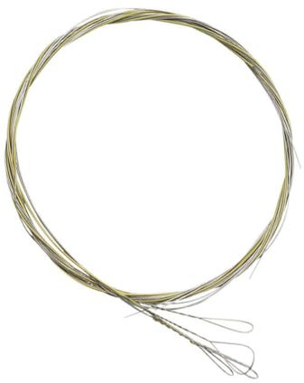 Toyvian Banjo-saiten-ersatzset 5 Stück Beschichtete Banjo-saiten Einfache Austauschfunktion