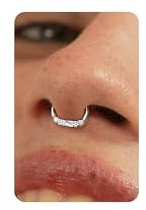 BodyBonita 16G Piercing Septum Acero Inoxidable 316L con Azul Circonia Cúbica Piercings Nariz Aro Piercing Helix Tragus Hombre Mujer Daith Rook Oreja Pendientes Aros Plata 8mm Luminous Grace