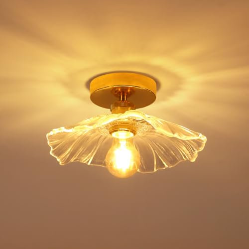 Comely Plafonnier de couloir, E27 Lampe de plafond en forme de fleur, petit or Luminaire Plafonnier en verre transparent, diamètre 28cm, ampoule non incluse
