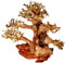Amtra - Oriental Wind Wood 4, Dekoration Süßwasseraquarium, Bonsaiholz, handgefertigt, für Aquascaping, 23x10x17 CM