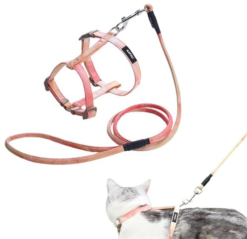 Katzengeschirr mit Leine Ausbruchsicher Katzengeschirr Leine Einstellbarer Katzenleine mit Geschirr für Kleine Mittlere Katzen Freien Gehen, Farbverlauf Orange