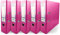 Netuno 5x Akten-Ordner rosa DIN A4 2-Ring-Mechanik Ringorder a4 8cm Kunststoff Ordner a4 breit Büroordner Plastikordner Briefordner din a4 Ringmappe breiter Aktenordner 5er pack