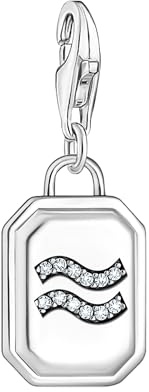 THOMAS SABO Charm-Anhänger Sternzeichen Wassermann mit Steinen Silber 925 Sterlingsilber, Geschwärzt