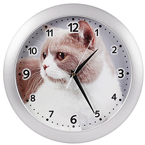 Eurotime Quarzwanduhr, 29 cm, Kunststoffgehäuse Silber, Echtglas, Motiv Katze, geräuscharmes Uhrwerk, kein Ticken, Wanduhr für Wohnbereich oder Büro, Schwarze Zeiger, rote Sekunde, 82301