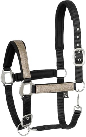 Start - Cabestro de neopreno para caballo de sangre caliente, pura sangre – cabestro de establo, cabestro de pastoreo, 2 posiciones ajustables en la correa de la barbilla y el cuello, seguro y