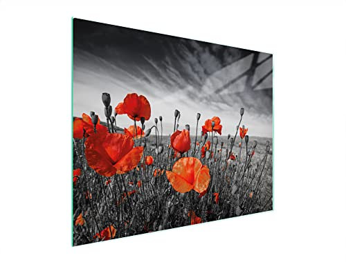 DarHaus Planche à découper Ceranfeld 1 pièce 52 x 40 cm, plaque de découpe universelle, protection anti-éclaboussures, cuisine, Coquelicots Rouge