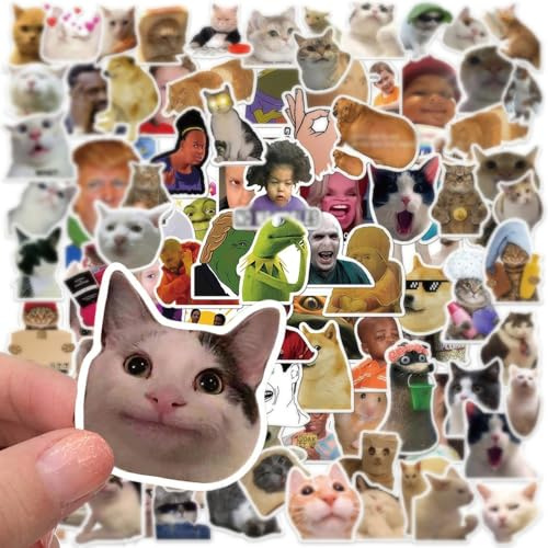 Bangbobi 100 piezas Conjunto de pegatinas memes divertidas – pegatinas memes y pegatinas divertidas para memes Pegatinas para portátil coche botella de agua